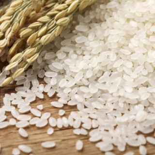 商品森王晶珍 雪乡珍珠米 2.5kg