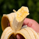 康萃果 香蕉 5斤 送5斤 共发10斤