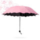 物有物语 折叠清新晴雨伞 遇水开花