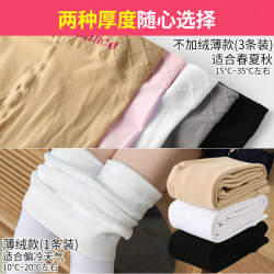 Bejirog 北极绒 儿童连裤袜 3条装 不加绒