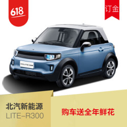 定金 北汽新能源LITE-R300整车 2019款纯电动全智能 长续航轿车 购车送全年鲜花(限100名)