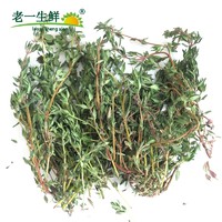 老一生鲜 新鲜香料新鲜 百里香100g (100g)