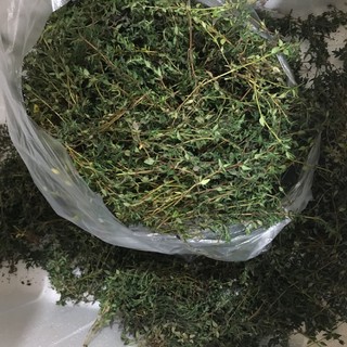 老一生鲜 新鲜香料新鲜 百里香100g (100g)