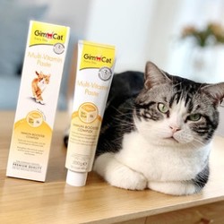 Gimborn 俊宝 猫用多种维生素营养膏 200g