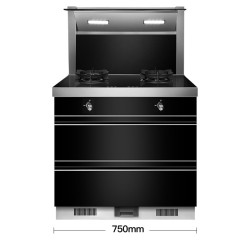 OUNIER/欧尼尔 LX6-75 环保灶具侧吸一体式一体机 自动清洗抽油烟机灶具消毒柜集成灶17立方 天然气集成灶