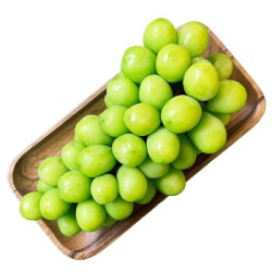 葡韵 阳光玫瑰青提 1kg