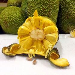 帆儿庄园海南黄肉菠萝蜜热带现摘新鲜水果 6kg-8kg *7件