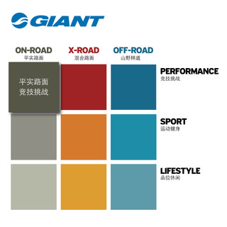 GIANT 捷安特 TCR Advanced SL 2 公路自行车 (变色龙火星红)