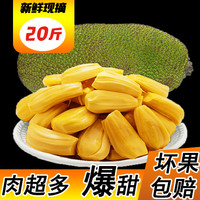 菠萝蜜新鲜水果18-21斤