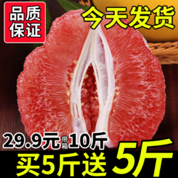 福建红心柚子当季新鲜孕妇水果整箱10斤（4个）