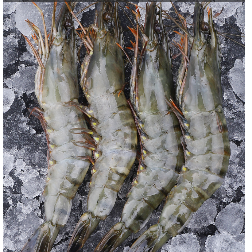 海皇湾新鲜野生海捕超大黑虎虾净虾500g4件