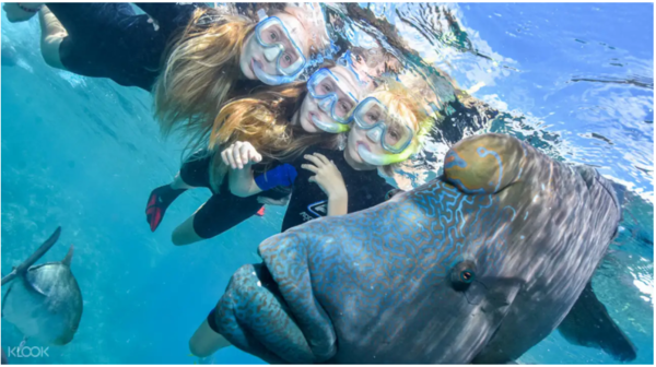 当地玩乐、值友专享：澳大利亚 凯恩斯-翡翠岛+摩尔大堡礁太阳恋人号一日游