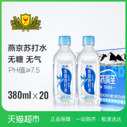 燕京至简弱碱性饮料苏打水 无糖无气 380ml*20瓶
