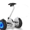 PHOENIX 凤凰 双轮儿童两轮电动平衡车成人智能体感蓝牙遥控自平衡代步车10寸白越野  X7