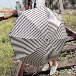 冰竖条黑胶雨伞太阳伞