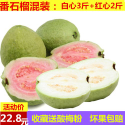 农家现摘番石榴芭乐白心3斤+红心2斤新鲜水果清脆香芭乐5斤番石榴