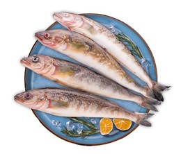 禧美 冷冻北海道深海黄鱼 1.2kg/袋 生鲜 烧烤食材 *4件