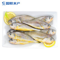 GUOLIAN 国联 东海小黄鱼 1.2kg/袋 24-32条 *6件