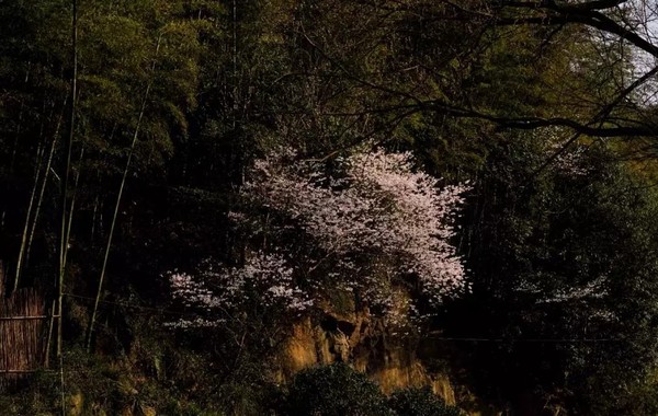 推门即见山泉泳池，享丰富亲子娱乐项目！莫干山宿里FUN集度假酒店1晚套餐