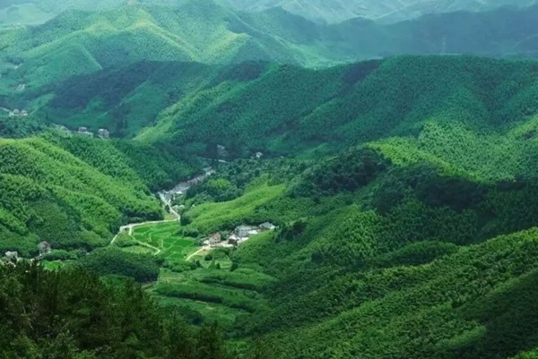 推门即见山泉泳池，享丰富亲子娱乐项目！莫干山宿里FUN集度假酒店1晚套餐