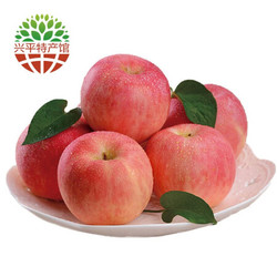 红富士苹果 脆甜丑苹果 新鲜时令水果 5kg实惠装