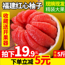 红心柚子现货当季孕妇水果整带箱5斤应季平和琯溪新鲜红肉蜜柚10