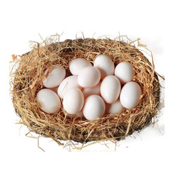 对面小城 新鲜鸽子蛋 30枚装 农家散养适合宝宝食用