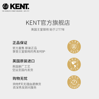 KENT 肯特 清理毛发清洁器 (黑色)