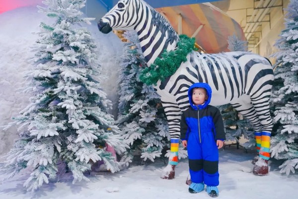 当地玩乐：3000㎡冰雪乐园天天下真雪，带娃一秒入雪国！苏州艾瑞克冰雪仙境乐园门票