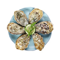 渔传播 FISHERY PROPAGATION 净水鲜活生蚝 5斤装 1份盒装