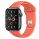 全款预售开启：Apple 苹果 Watch Series 5 智能手表 44mm GPS