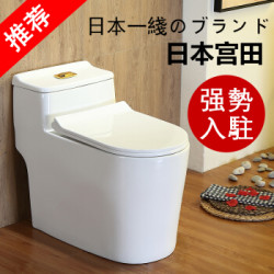 日本宫田(GOTD)家用抽水马桶大口径马桶GT-3 400坑距