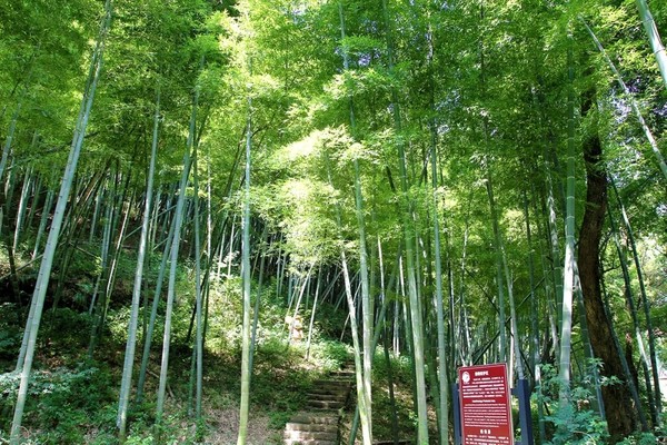 面朝东海、三面环山！宁波春晓世茂希尔顿逸林酒1晚套餐