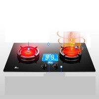 Redsun 红日 EF208B  煤气灶双灶 天然气