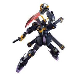 预售 万代模型 RG 1/144 海盗高达X2