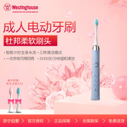 西屋(Westinghouse)电动牙刷