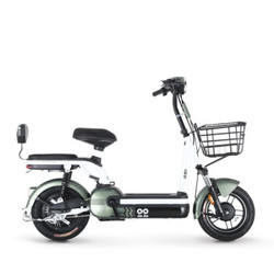 绿源电动车 新国标电动自行车4820锂电池 米兔FEG