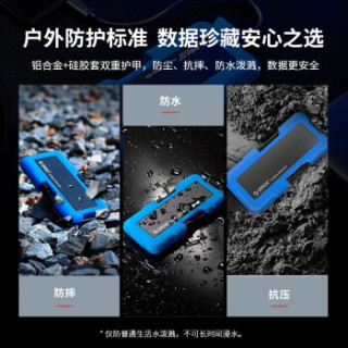 奥睿科(ORICO)SSD固态移动硬盘M.2 NVMe/M.2 NGFF Type-c/usb3.1 M.2 NGFF-蓝色 256G