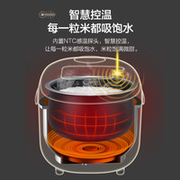 Bear 小熊 DFB-B20A1 电饭煲 2L