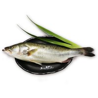 跨界渔夫 白蕉海鲈鱼 500g