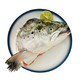 美威 智利三文鱼头（大西洋鲑） 400-700g