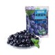 冰鲜大粒蓝莓 500g 酸奶伴侣 冷冻蓝莓 冷冻水果 *6件