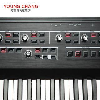 YOUNG CHANG 英昌 SP1 舞台电钢 SP1 简便易操作的舞台MIDI控制器