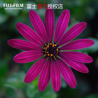 FUJIFILM 富士 XF16-80mm F4 R OIS WR 超广角变焦镜头 F4恒定光圈5倍变焦 (黑色)