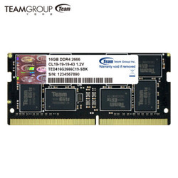 十铨（Team） 16GB DDR4 2666 笔记本内存条