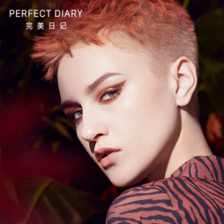 PERFECT DIARY 完美日记 discovery联名探险家十二色动物眼影盘