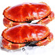 英国鲜活熟冻面包蟹 超大母螃蟹 800-600g *2件