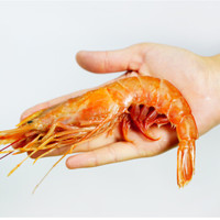 沃派 wopai 沃派 进口冷冻阿根廷红虾  30-40只   海鲜大虾 (2kg)