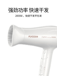 Flyco 飞科 FH6232 吹风机