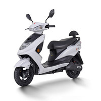 Yadea 雅迪 1000079 电动车